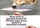 Letter to self | r/wholesomememes A letter for you You are a good even if brain say you doin a heckin trash
