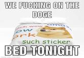 WE F------ ON THE DOGE UCh w ow D WD ow ork such sticker BED TONIGHT imade with mematic