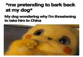 *me pretending to bark back at my dog* My dog wondering why I'm threatening to take him to China