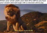 When your uncle yeets your dad off a cliff so you f--- your cousin and eat bugs with a raccoon and a pig This is the circle of life