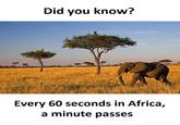 Did you know? Every 60 seconds in Africa, a minute passes