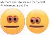 My mom wants to see me for the first time in months and I'm
