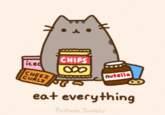 CHIPS iced CHEEZ CURLZ nutella eat everything Pusheen Tumblr