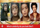 Which celebrity do you look like?! 10
