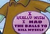 I REALLU WISH I HAD THE BALLS TO KILL MYSELF