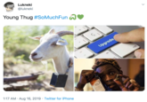 Lukneki @lukneki Young Thug #SoMuchFun Upgrade ctri alt 1:17 AM Aug 16, 2019 Twitter for iPhone Pun eebre