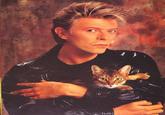 Bowie pictured with a "cat":/memes/subcultures/cats. Found in a gallery of "Vintage Photos of Celebrities With Their Cats":https://cheezburger.com/9055749/these-vintage-photos-prove-that-celebrities-love-their-cats-just-as-much-as-we-do on I Can Has Cheezburger.