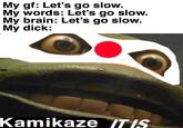 My gf: Let's go slow. My words: Let's go slow. My brain: Let's go slow. My d---: Kamikaze (T I(S