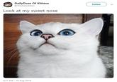 It S Not That He S Evil He Lacks Empathy And He Goes Into A Disassociative State And Commits Atrocities Cats Know Your Meme