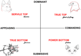 DOMINANT SERVILE TOP TRUE TOP Canine ied ofdy APPEASING COMANDING POWER BOTTOM TRUE BOTTOM Bovina Feline SUBMISSIVE