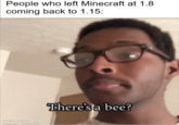 there's a beE?!?!!? | r/dankmemes People who left Minecraft at 1.8 coming back to 1.15: There's a bee? u/Pope_Penguin Made with Google Docs