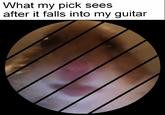 What my pick sees after it falls into my guitar
