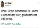 David Steele @dsteele713 Without a fully semi-automatic assault rifle, I wouldn't be able to protect my swarthy, genderfluid child from 30-50 feral hogs 7:07 PM Aug 24, 2019 Twitter Web Client