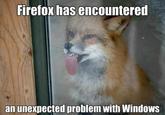 Firefox has encountered unexpected problem with Windows