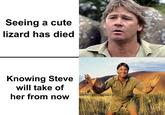 Seeing a cute lizard has died Knowing Steve will take of her from now