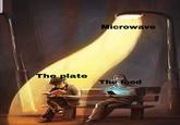 Microwave The plate The food