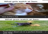 u/Khrime What girls watch at 3am: Fantino benedetto How to Pet a Cat What guys watch at 3am: Fanting benedetto Turn your dead cat in a perfect Drone with 30$