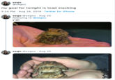 sego @segoz my goal for tonight is toad stacking 3:24 PM Aug 24, 2019 Twitter for iPhone sego @segoz Aug 25 Replying to @segoz y'all sego @segoz Aug 25