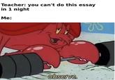 Teacher: you can't do this essay in 1 night Me: observe.