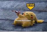 REVIVE Pls help i havearaygun