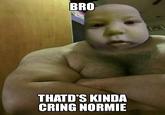 BRO THATD'S KINDA CRING NORMIE