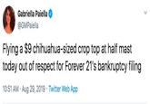 Gabriella Paiella @GMPaiella Flying a $9 chihuahua-sized crop top at half mast today out of respect for Forever 21's bankruptcy filing 10:51 AM Aug 29, 2019 Twitter Web App