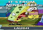 IT'S FROM MINECRAFT LAUGH