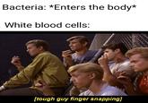 Bacteria: *Enters the body* White blood cells: [tough guy finger snapping]