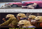 LATESTREADINGS.COM Driver who kicked stray dog watches car get destroyed after same dog returns with friends [tough guy finger snapping]