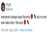 @gabillla everyone's always says the ants but no one ever asks how r the ants 10:07 AM Sep 8, 2019 Twitter for iPhone