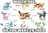 WHICHONE Jolteon ectric Vaporeon Water Flareon Fire > Eevee Espeon Paychic Umbreon Dark DOYOUWANT TO F---