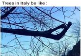 u/Orkoorko20 Trees in Italy be like PICTOPH LE AP