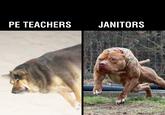 JANITORS PE TEACHERS