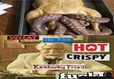 WHAT IN THE НОТ CRISPY Kentucky Fried furLa LONE