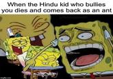 When the Hindu kid who bullies you dies and comes back as an ant TacticalSaint7 imgflip.com