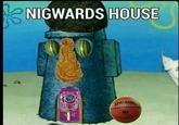 NIGWARDS HOUSE fania SPALDING EA