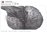 Illustration Dalmirón @DalmaBenitez Sapiosexual 6 10:51 AM Feb 21, 2017 Twitter for iPhone aimeex3