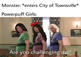 Powder Puff Girls Monster: *enters City of Townsville* Powerpuff Girls: Are you challenging me?