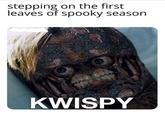 stepping on the first leaves of spooky season KWISPY