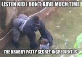 LISTEN KIDIDONT HAVE MUCH TIME THE KRABBY PATTY SECRET INGREDIENTIS imgflip.com