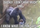 QUICKLY, I DON'T HAVE MUCH TIME I KNOW WHAT THE FOX SAYS. OO0