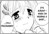 Wearing a skirt IT'S ALRIGHT WHEN I'M WEARING A SKIRT... ...I'M A PROGRAMMER!,