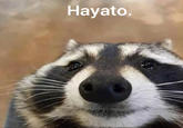 Hayato.