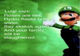 Luigi says: Roses are red, Hydro flasks hold water, Say sksksk again And your family will be slaughtered.