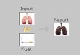 Input Result ** Fuel