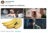 Alex Zalben @azalben A lot can happen in a lifetime. 3:05 PM Sep 25, 2019 Tweet Deck