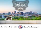 believe SAFETY PRODUCT Report unsafe products SaferProducts.gov UNITED STATES GOMMISSION CONSUMER