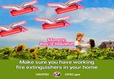 Mommy, they're beautiful! Make sure you have working fire extinguishers in your home CPSC.gov USCPSC