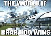 THE WORLD IF BRAPHOG WINS