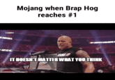 Mojang when Brap Hog reaches #1 ww D TAROH ex IT DOESNT MATTER WHAT YOUTHINK W